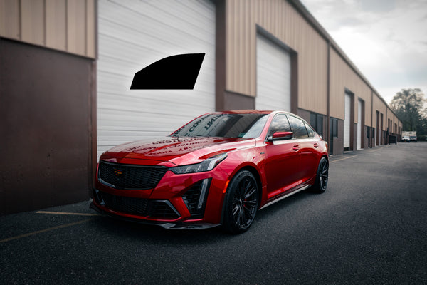 Single Door Window - Computer Cut Window Tinting Kit