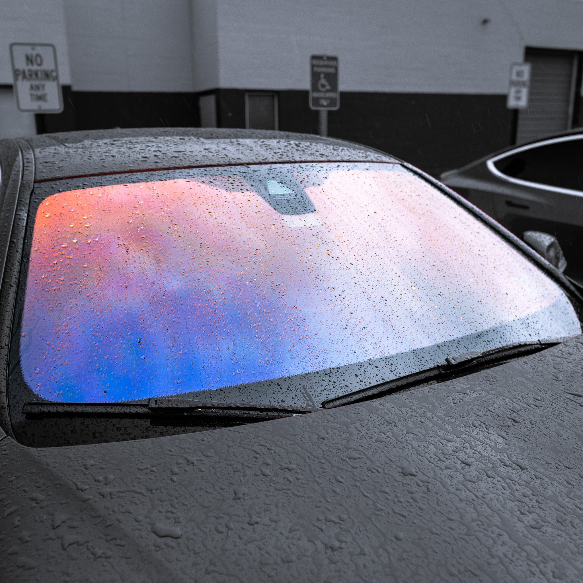 Moro Auto Spa Vehicle Tint